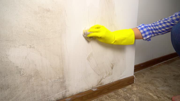 Best Commercial Mold Inspection  in Magnolia, NJ